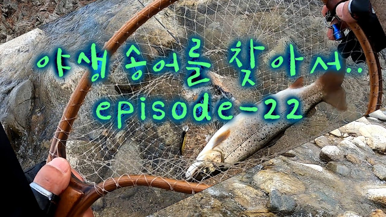 야생송어를 잡으려 갔는데...열목어만 EPISODE-22