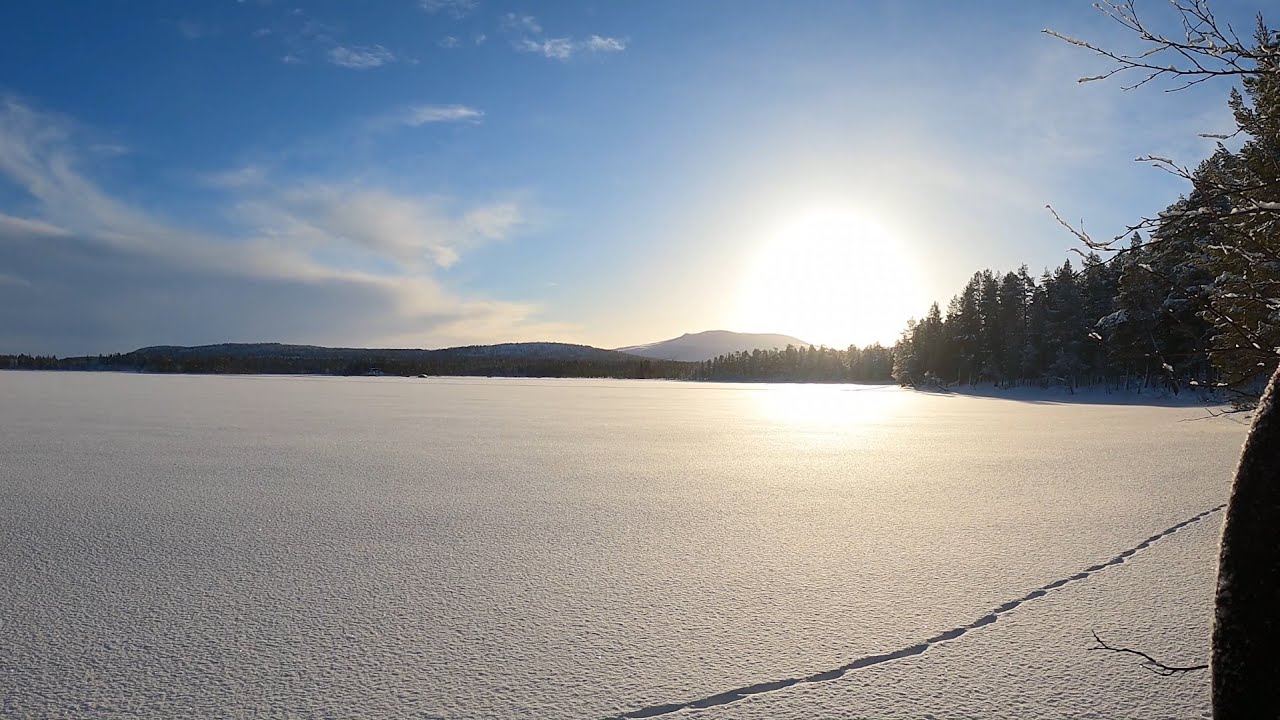 Field Recording Lapland Ep. 1: Reindeer - The Beginning