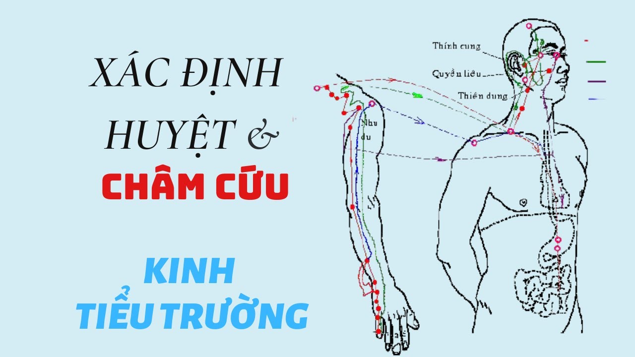 Huyệt thường dùng Kinh thủ thái dương Tiểu trường | Bs Ân