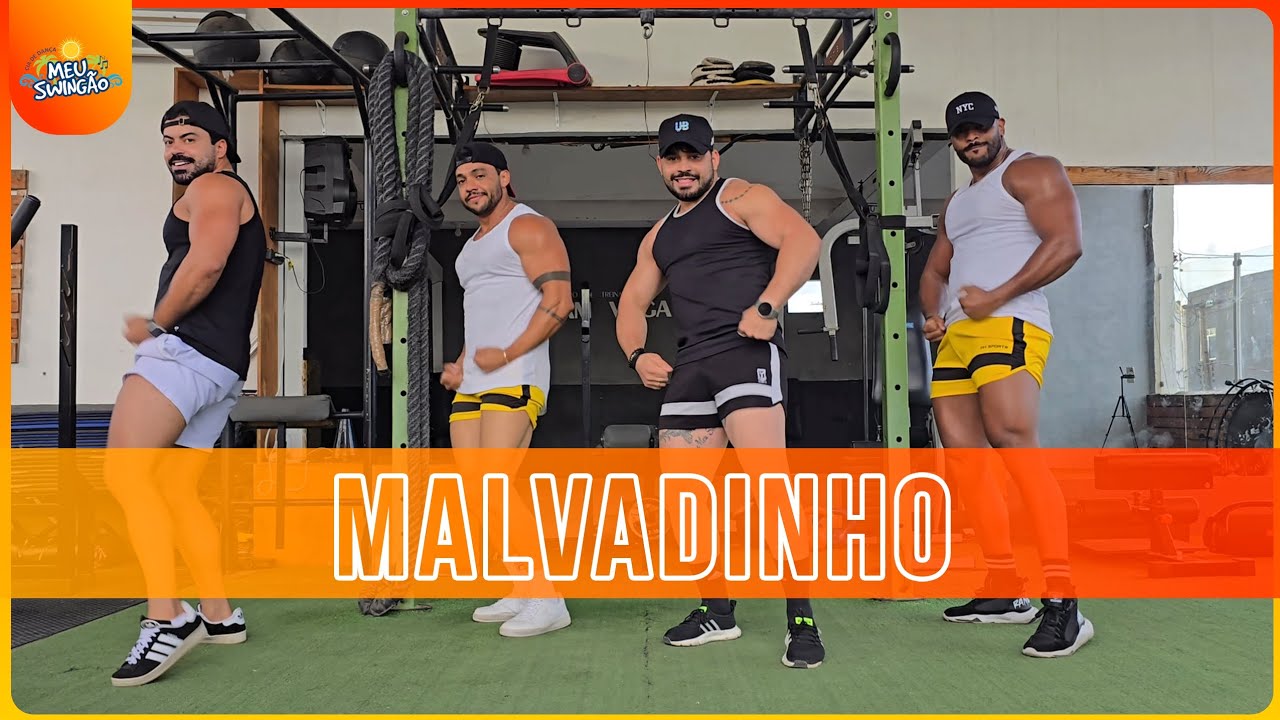 Malvadinho - Nego Jhá - Coreografia | Meu Swingão
