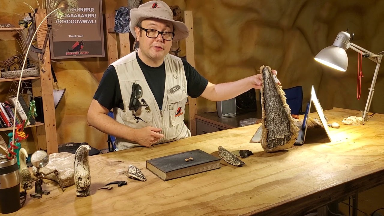 Dinosaur Claws, Prehistoric Teeth, and a Brow Horn