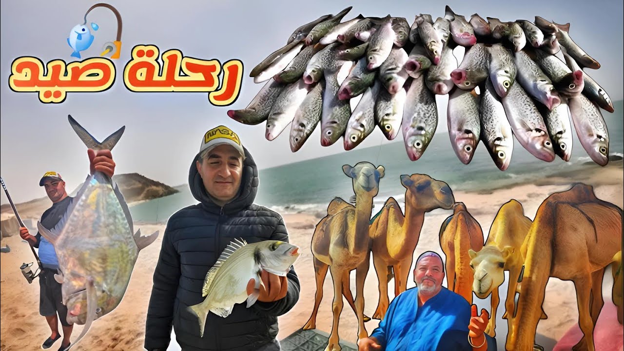 توثيق أفضل اللحظات من رحلة صيد بالقصبة 🎣 مليئة بالفرجة🐟 مع أصدقاء من مدينة مراكش 💯