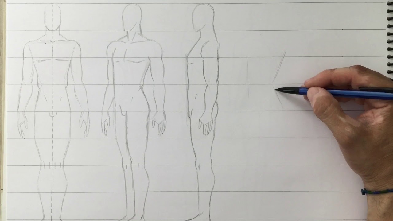 Dibujo y Pintura de Representación (Canon Clásico de Proporciones)