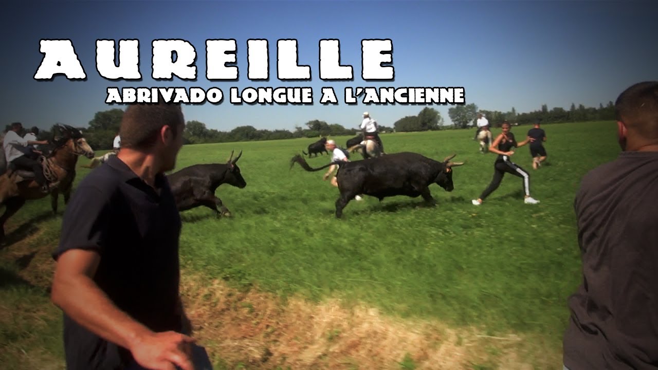 AUREILLE Abrivado Longue à l'Ancienne 13-06-2021 🐴