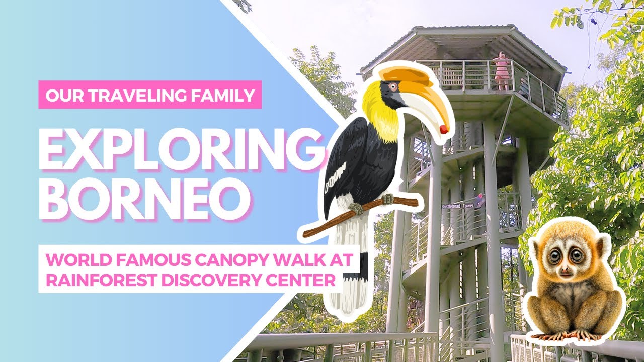 WALKING THROUGH THE JUNGLE CANOPY @Rainforest Discovery Center  🌿 FAMILY TRAVEL IN BORNEO 🌿 CH110