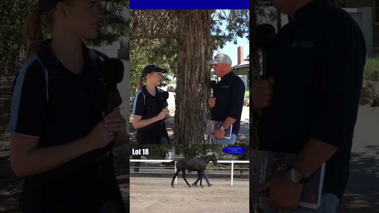 CC with Jess Howe talking about Hollywood Strip