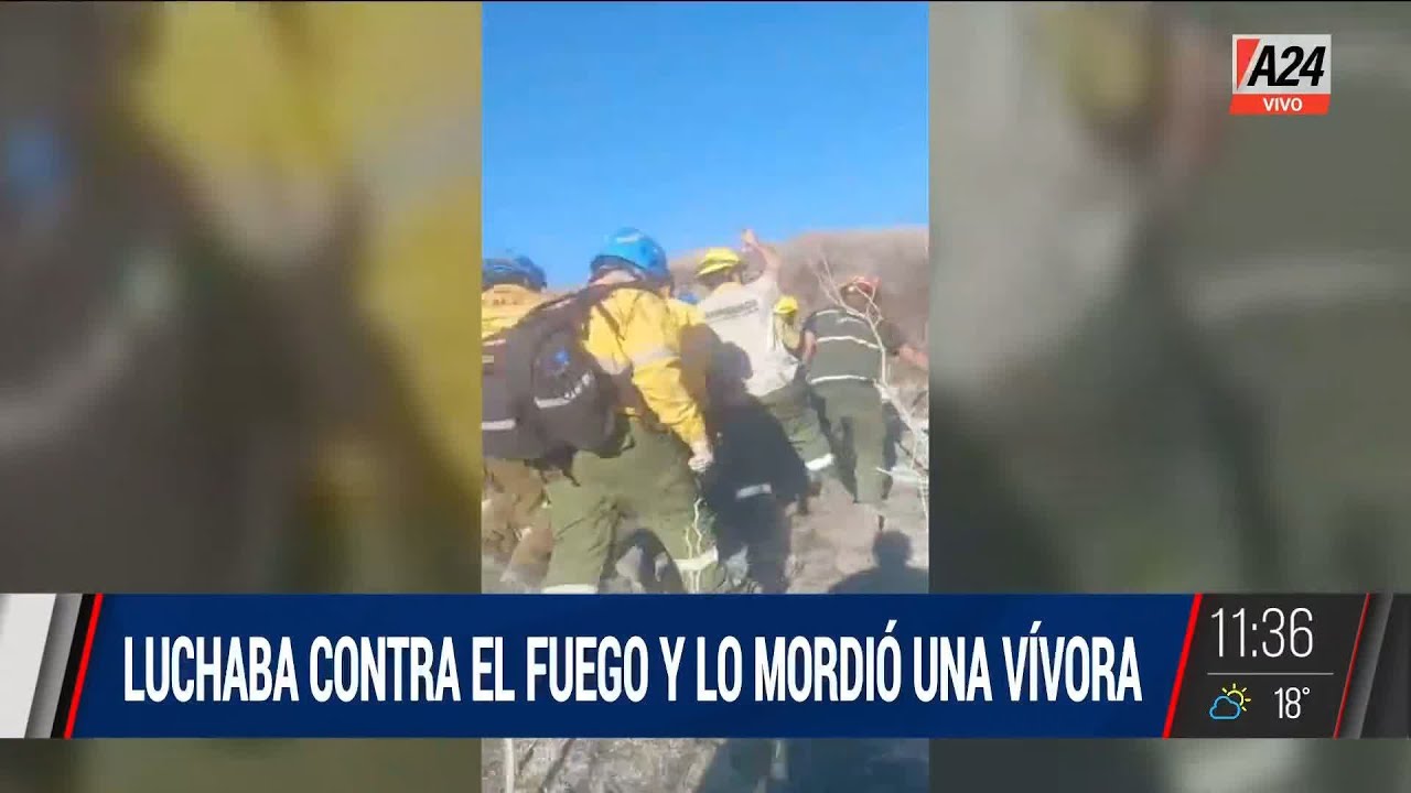 🔥 Córdoba: luchaba contra el fuego y lo mordió una víbora I A24