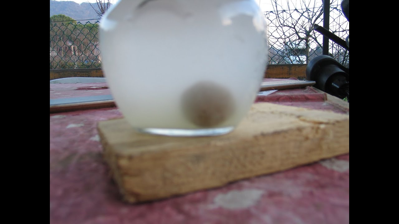 Test di boilies in acqua a differente pH video di fine anni '90