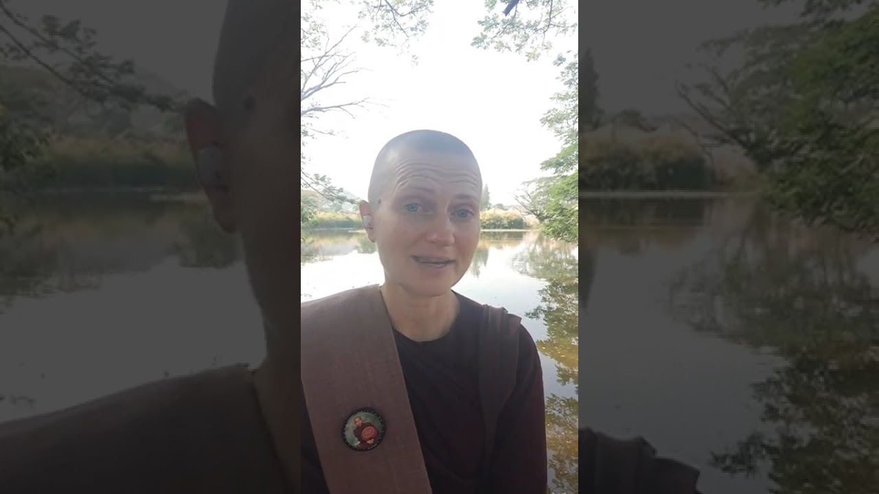Walking in Search of Dhamma 