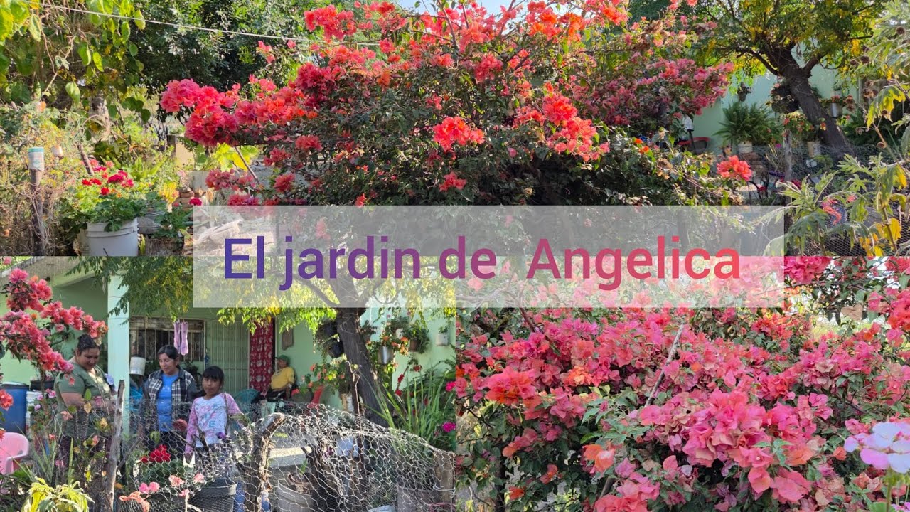Tur por el  jardín de Angelica 