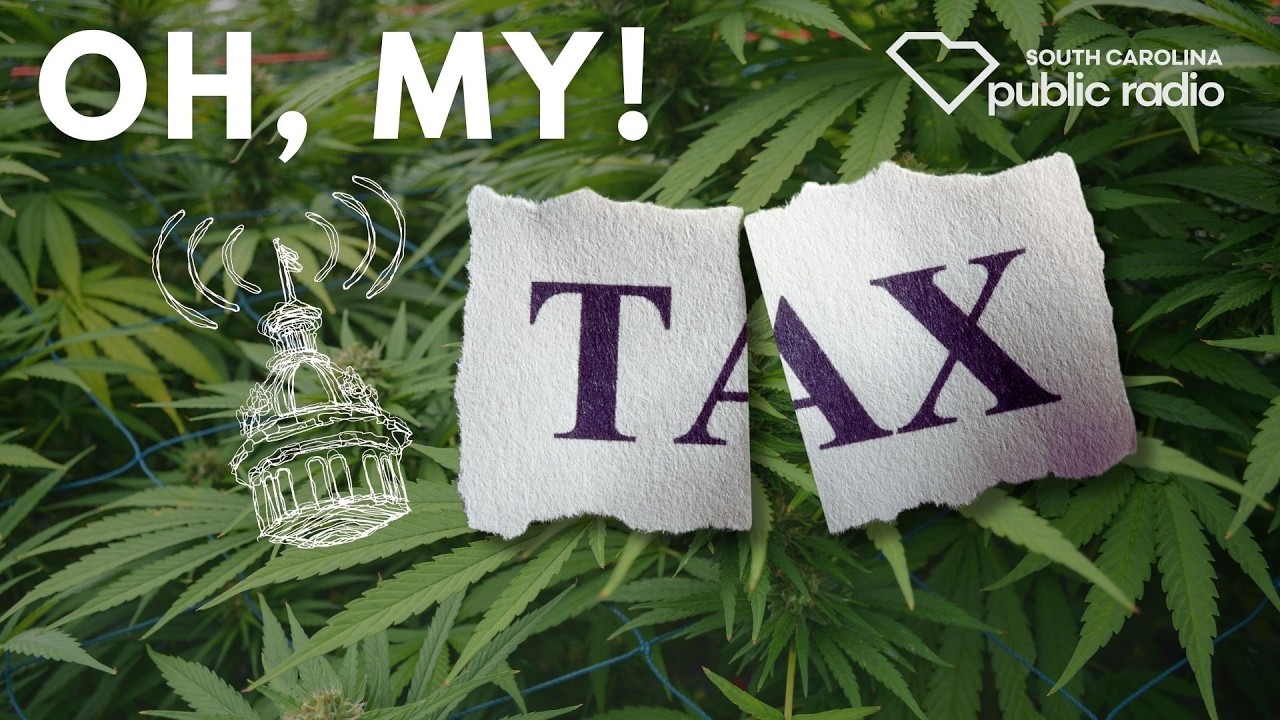 Amendments & Endorsements & Commandments, Oh My! | South Carolina Lede