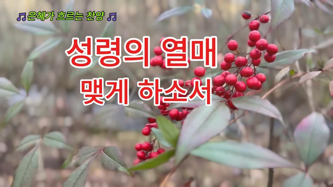 성령의 열매 | 은혜가 흐르는 찬양 | 자작CCM