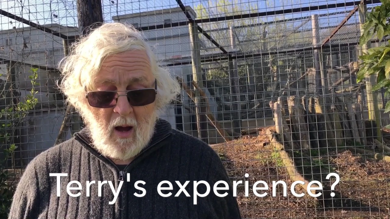 The Cat Survival Trust