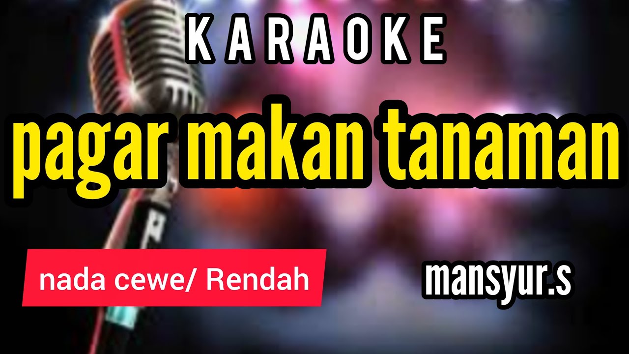 Karaoke PAGAR MAKAK TANAMAN full lirik nada CEWE