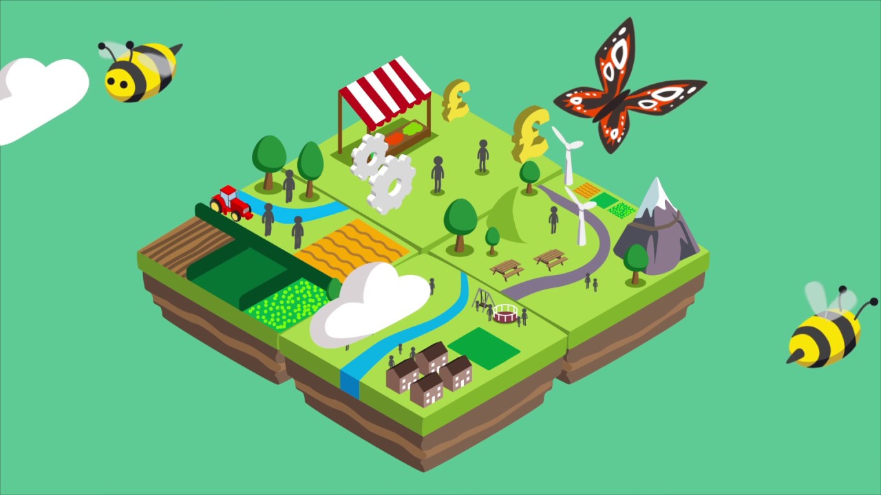 Shared Assets Common Good Land Use Animation