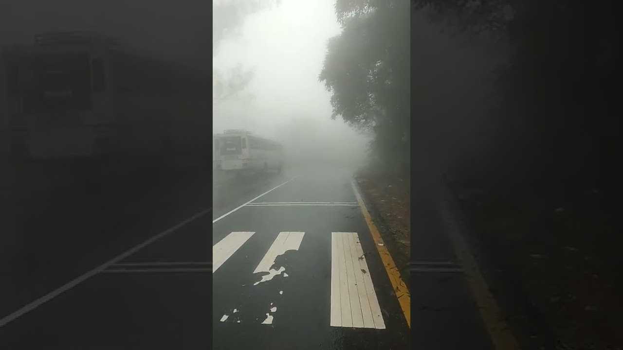 lakkidi  vibe  wayanad            rainy mood  foggy  weather    ksrtc