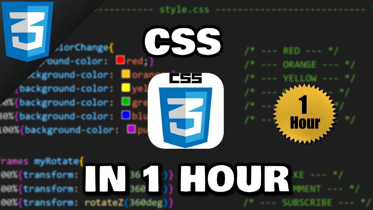 Изучите CSS за 1 час 🎨