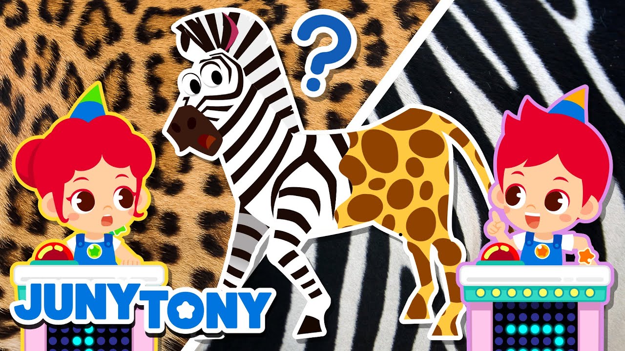 Show de Perguntas dos Animais | Adivinhe O Animal | Desenho Infantil | JunyTony em Português