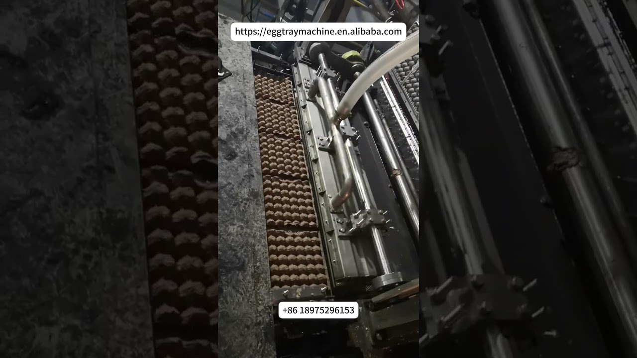 High capacity egg tray making machine 