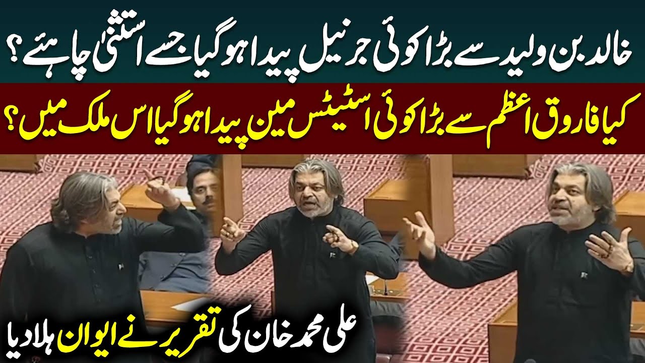 Ali Muhammad Khan Fiery Speech in National Assembly | 27th Amendment | Public News