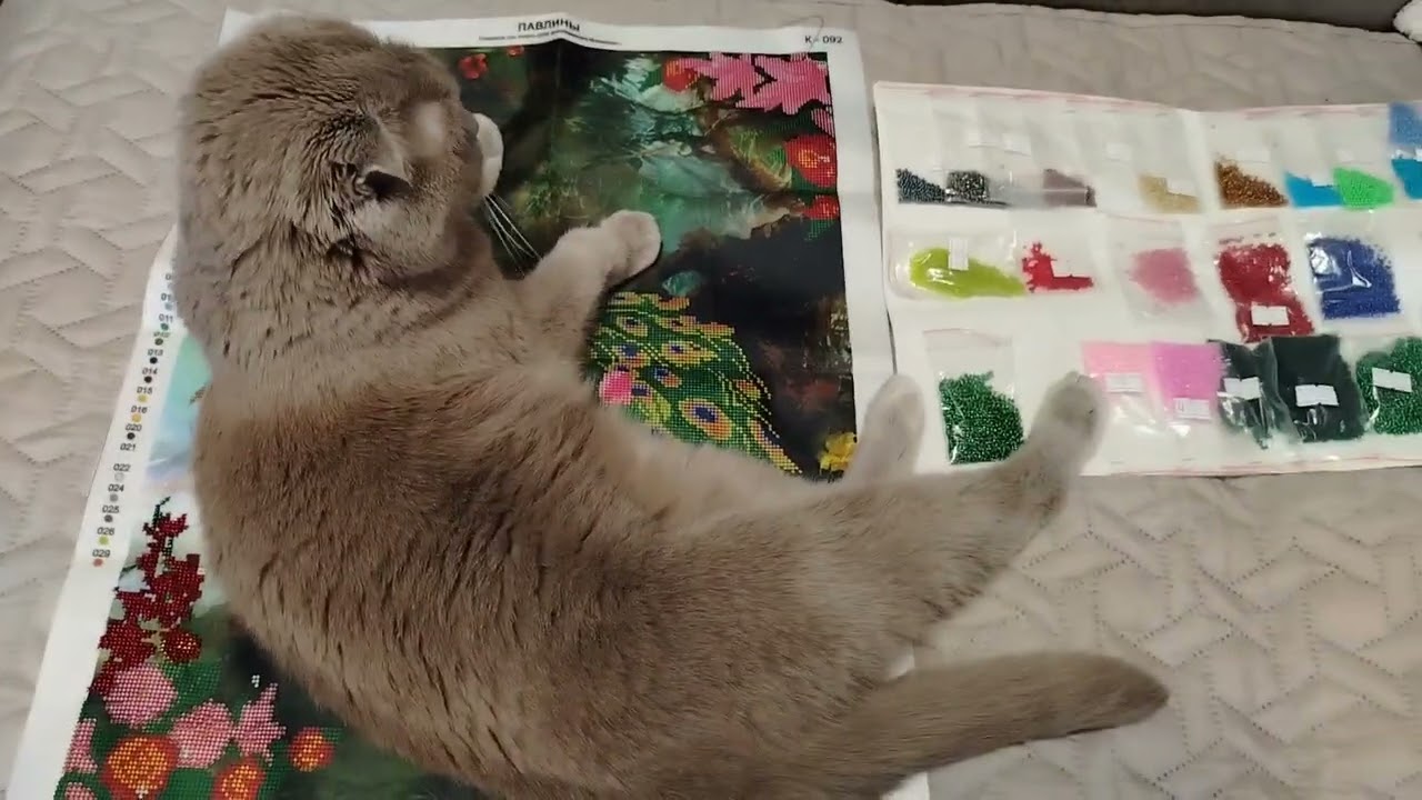 Неожиданный Гость🤭 процесс который вы не видели 🤗Мои заметные продвижения🤗