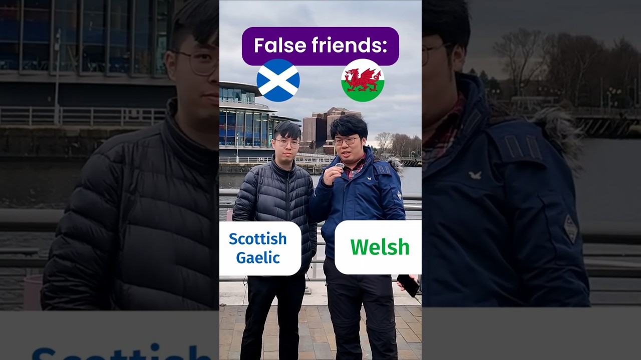 False friends between Welsh and Scottish Gaelic