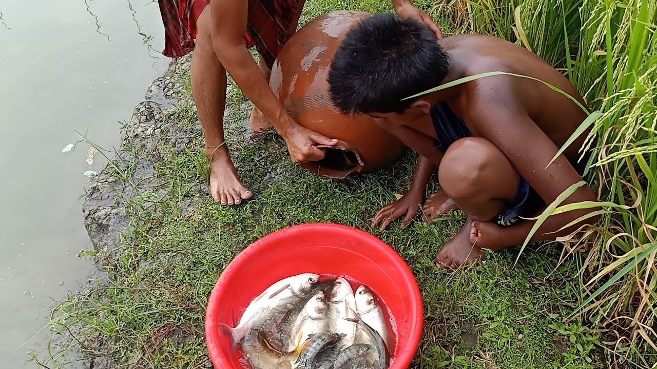 Trapping Huge Fish Using pottery pot | Fishing Tube