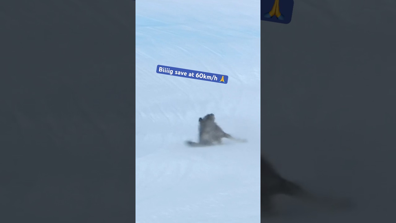 Will we see Powder Paw again in Kitzb&uuml;hel 🐾?