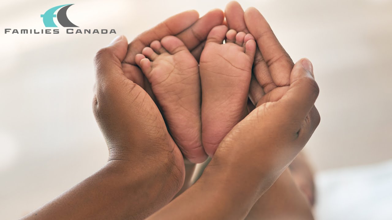 Webinar- What We Heard: Perinatal Mental Health Supports in the Family Support Sector