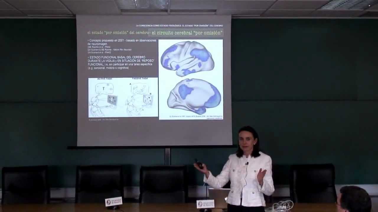 Los circuitos neurales de la consciencia. Carmen Cavada. Universidad de Navarra