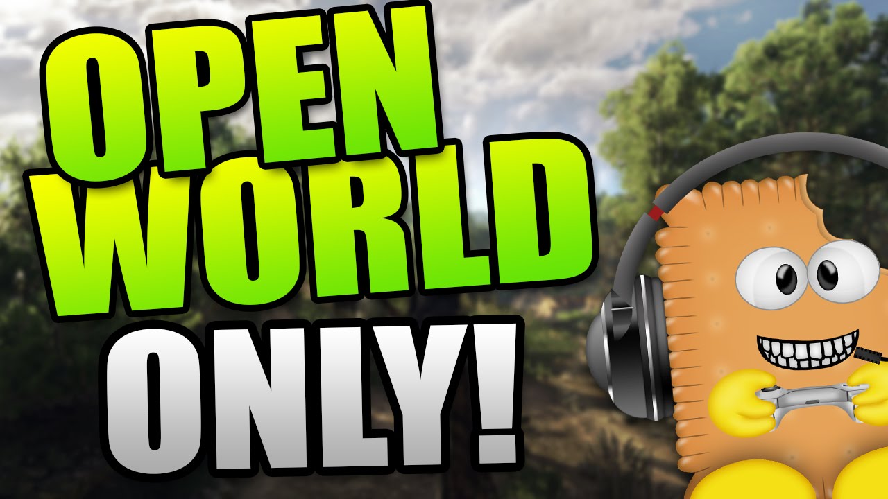 Muss es immer Open World oder Schlauchlevel sein ?