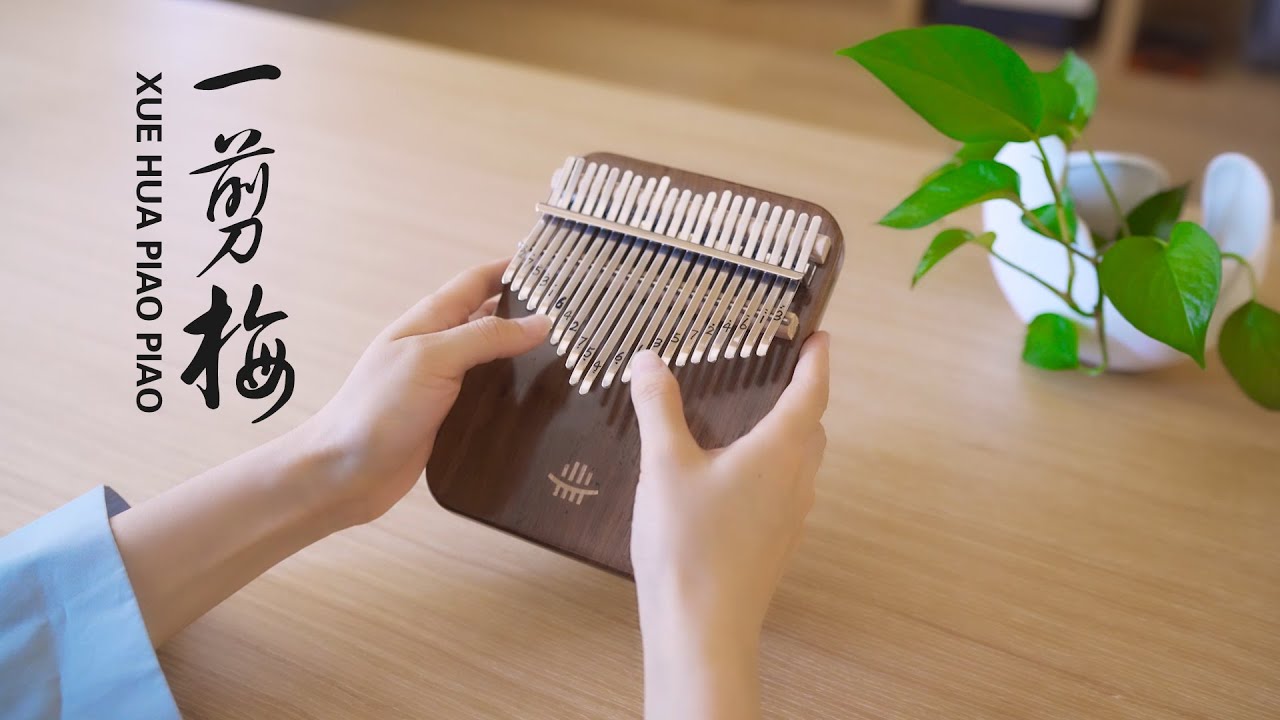 Xue Hua Piao Piao 一剪梅 Kalimba Version - April Yang