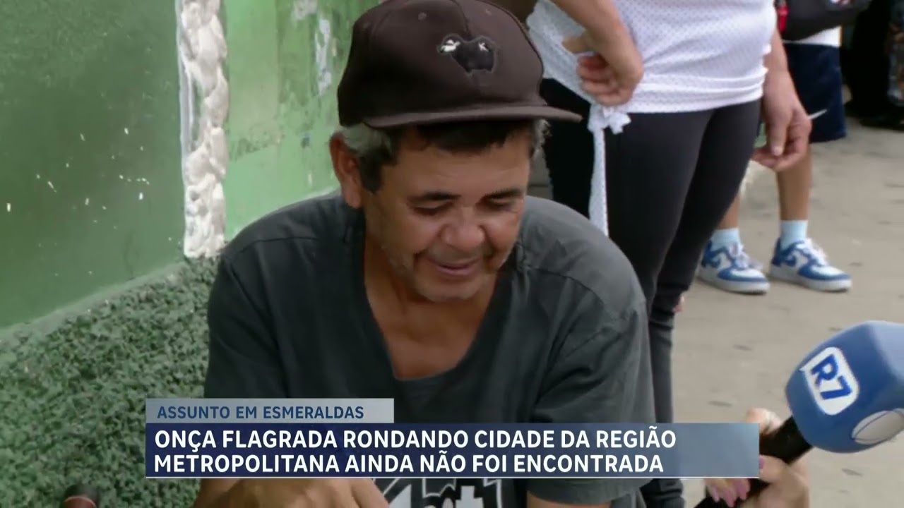 Onça na Grande BH assusta moradores e bombeiros orientam população