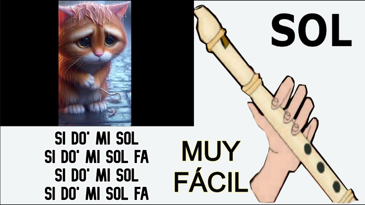 Miau miau miau Tiktok, canción, flauta dulce fácil, tutorial con animación, easy flute recorder