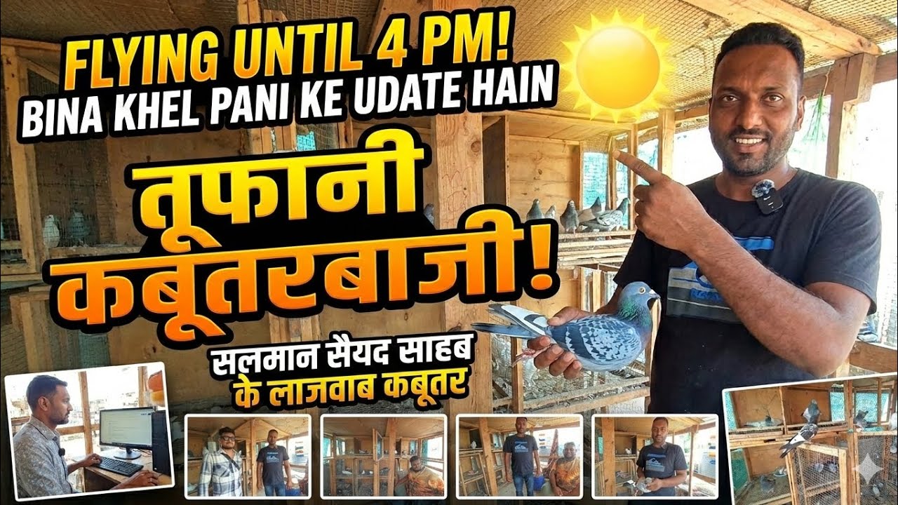 Sayyad salman nashik ! Nashik ke kabutar ka shok. ! Kyarish kadri pigeons 