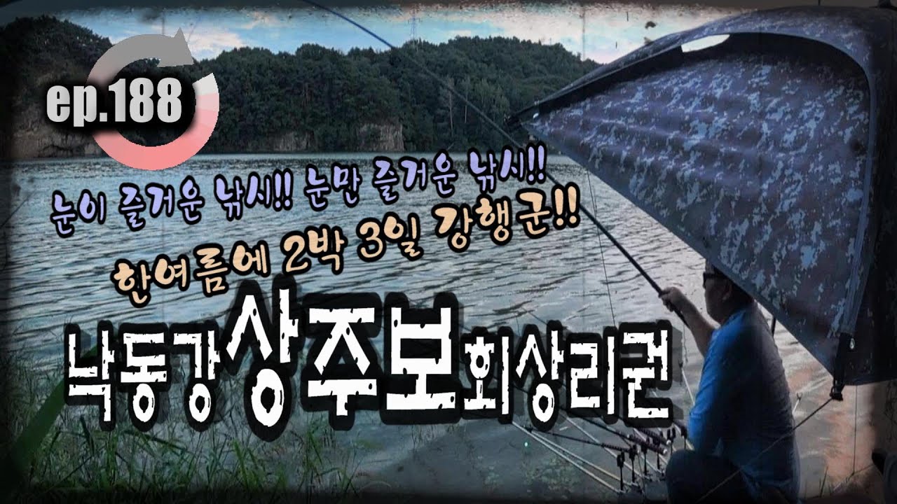 [ep.188] 눈이 즐거운 절경의 여름 낚시터, 낙동강 상주보 회상리권 #낙동강 #상주보 #회상리 #붕어낚시