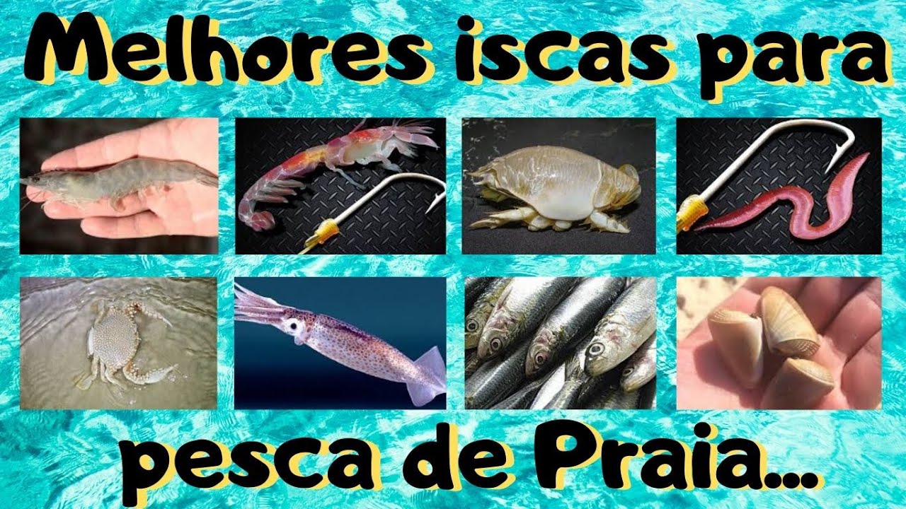ISCA PARA  PESCA DE PRAIA (MELHORES ISCAS).