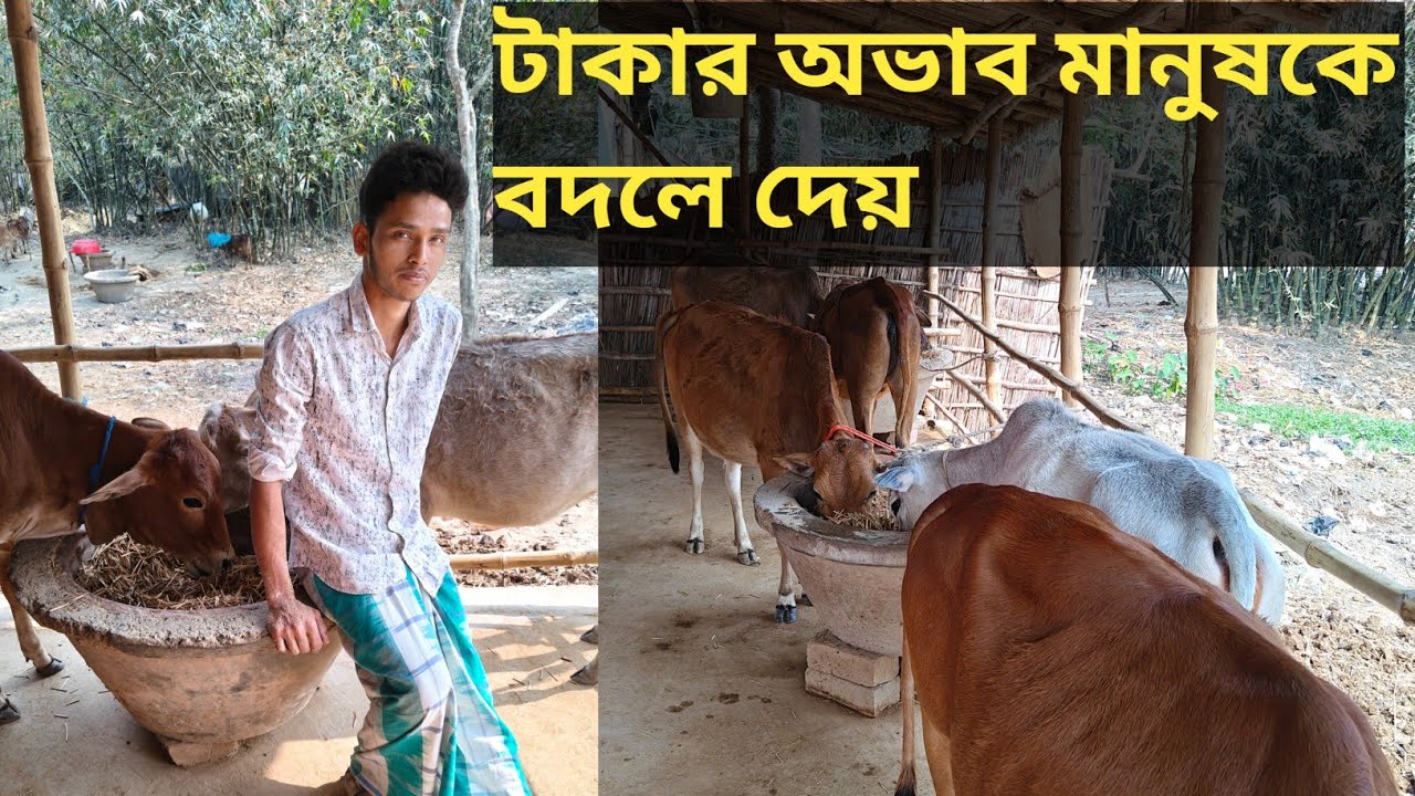 টাকা সব না... কিন্তু টাকা ছাড়া কিছুই না? 💔। বাস্তবতা খুব কঠিন-একজন গ্রামের ছেলের খোলামেলা কথা