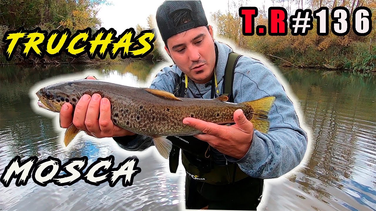 👉TRUCHAS CON MOSCA SECA (FINAL DE VEDA 2021)🐟