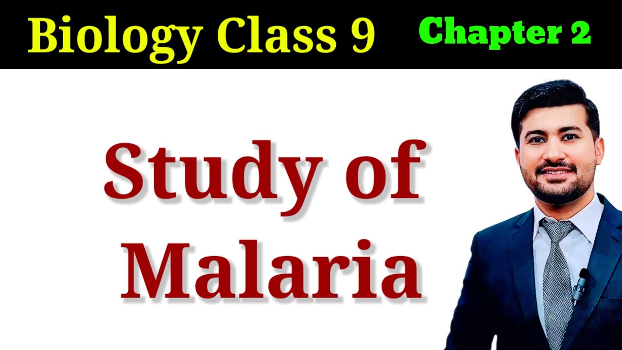 Study of malaria | Causes, symptoms and treatment of malaria | class 9 biology chapter 2