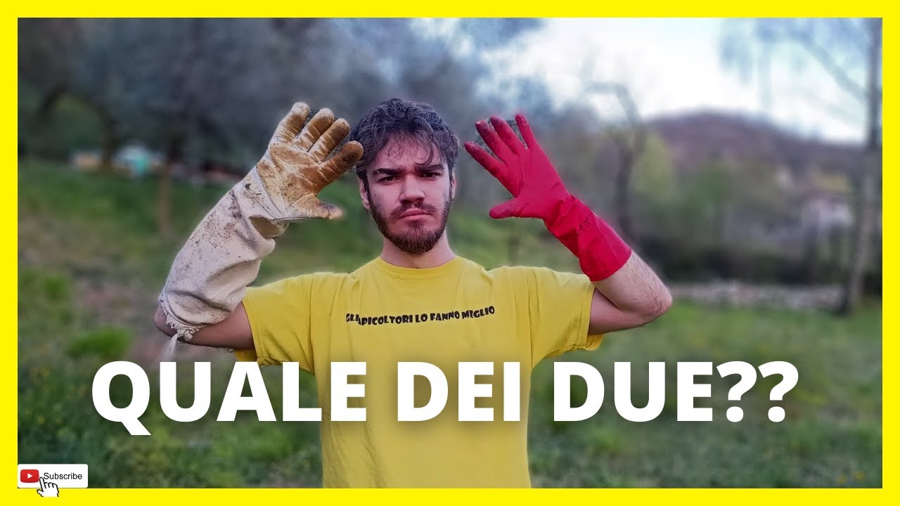 Guanti da apicoltore || analizziamoli