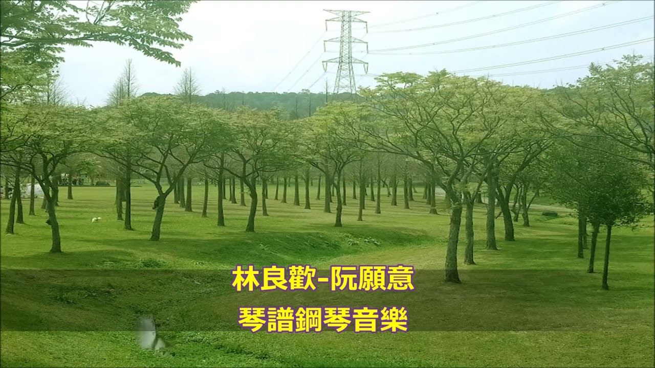 林良歡 阮願意   鋼琴音樂 / piano music