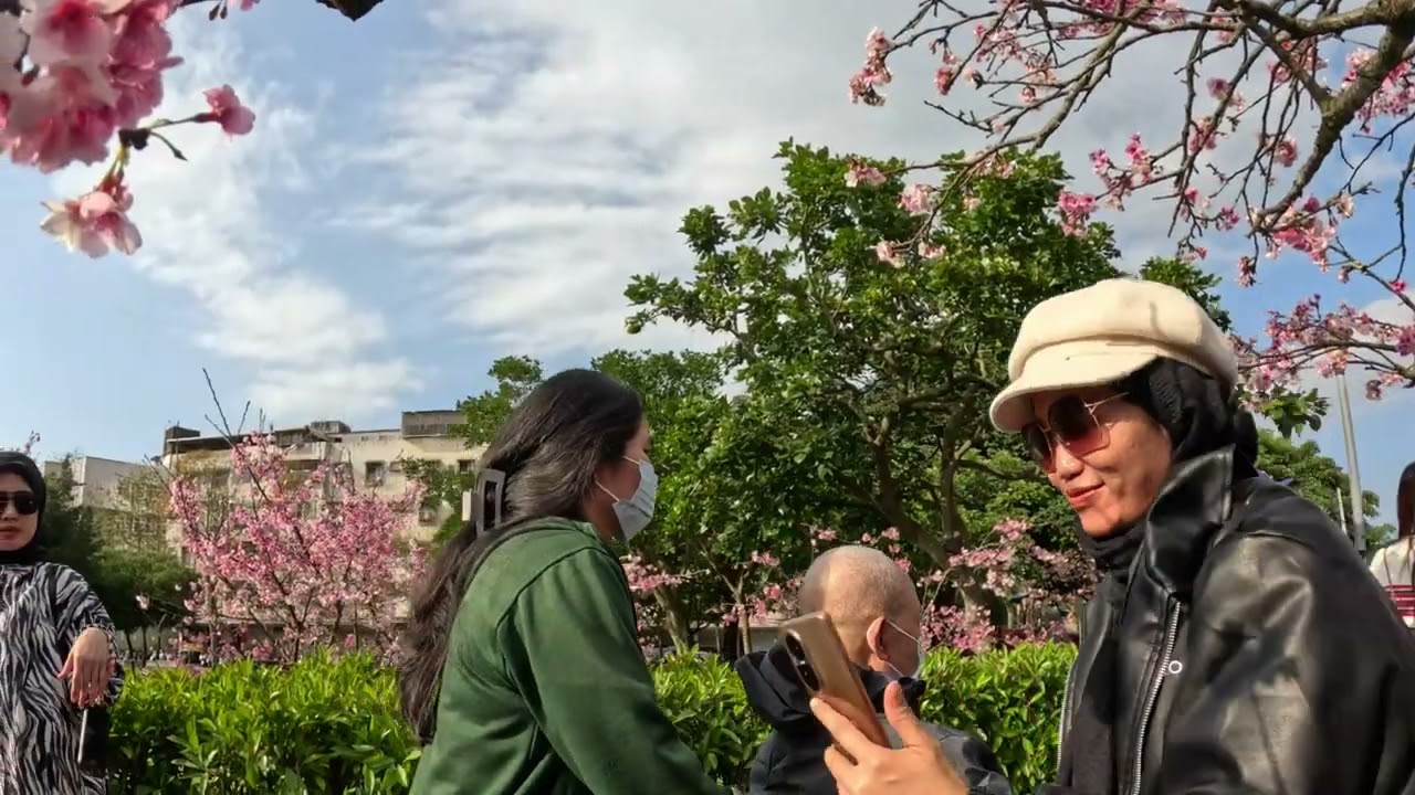 2026樂活公園夜櫻季 0