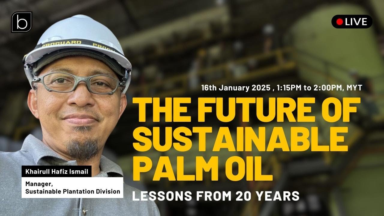 The Future of Sustainable Palm Oil: Lessons from 20 Years #palmoil