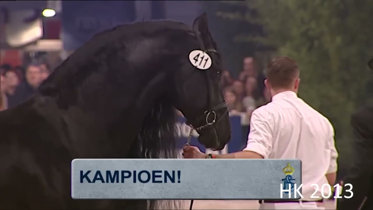 HK 2025 | In Memoriam Beart 411