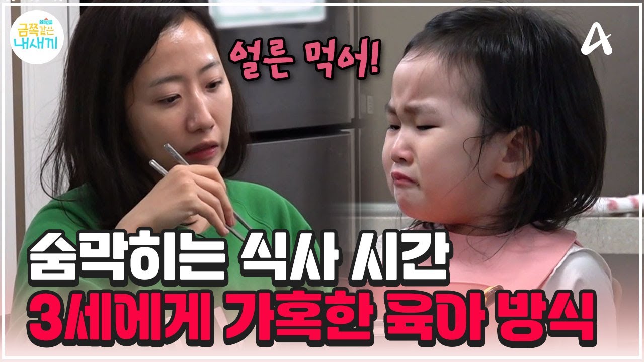 [#금쪽이] 밥 먹는데 타이머 재는 부모에게 주어진 역대급 솔루션;; | 금쪽같은 내새끼 228회