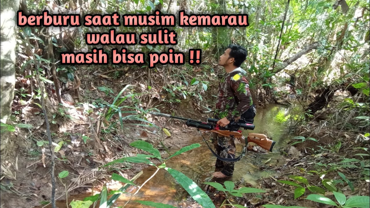 Berburu saat musim kemarau walau sulit masih bisa poin !!