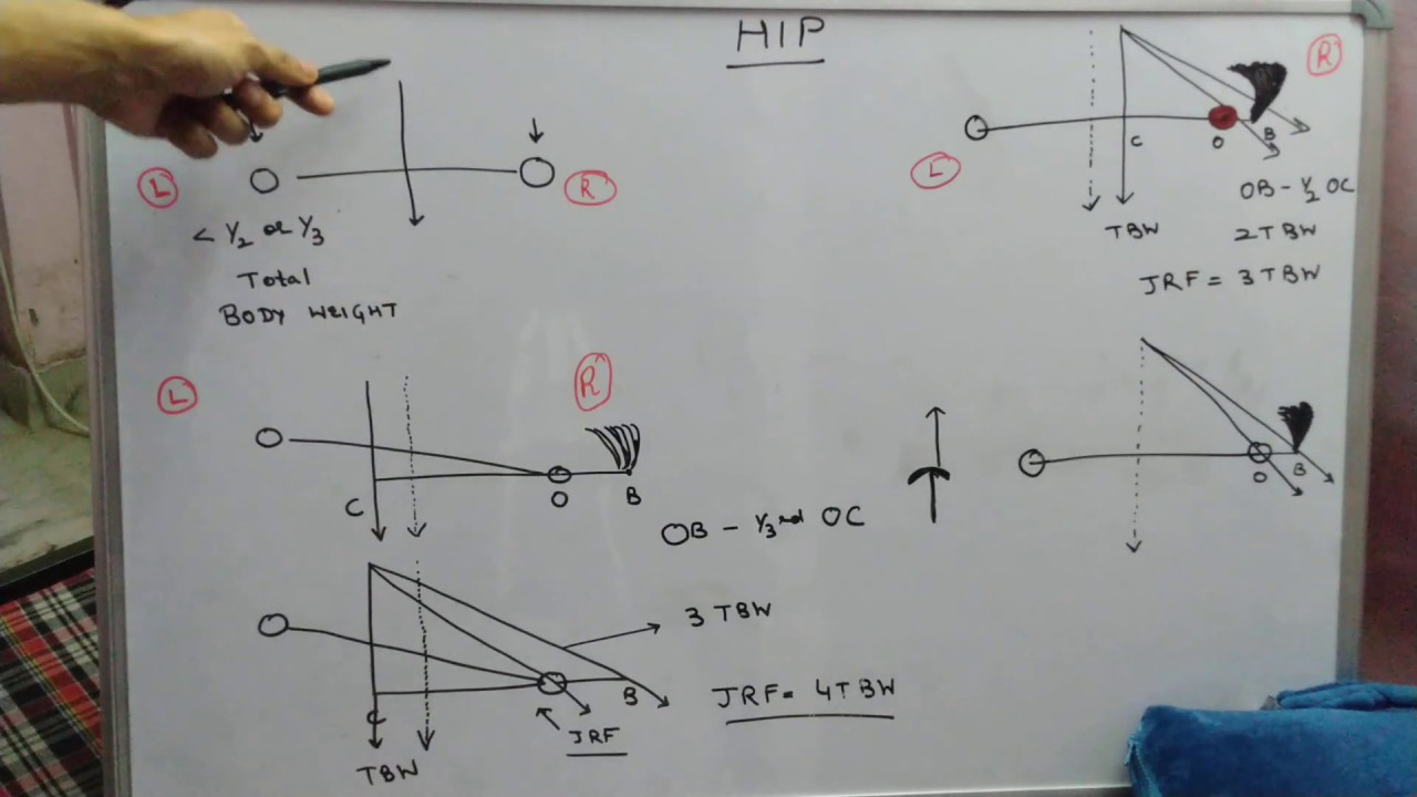 Biomechanics of Hip joint