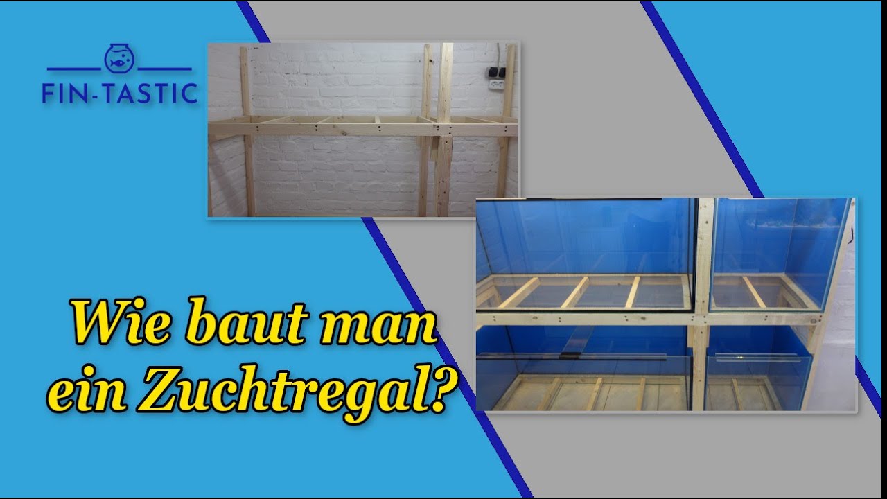 Eine einfache und kostengünstige Variante für Aquarienregale