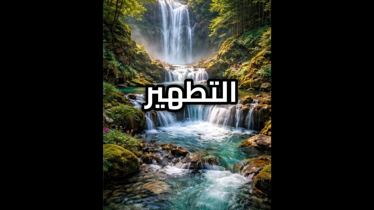 برنامج الهبات في العبادات 26 الجزء الثالث التطهير والمتطهرين..